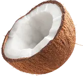 Mitad de coco marrón con pulpa blanca, ingrediente natural de los productos Chivería sabor piña coco.