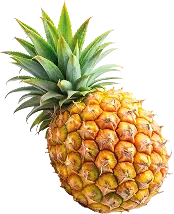 Piña entera con corona verde, utilizada en productos Chivería sabor piña coco.